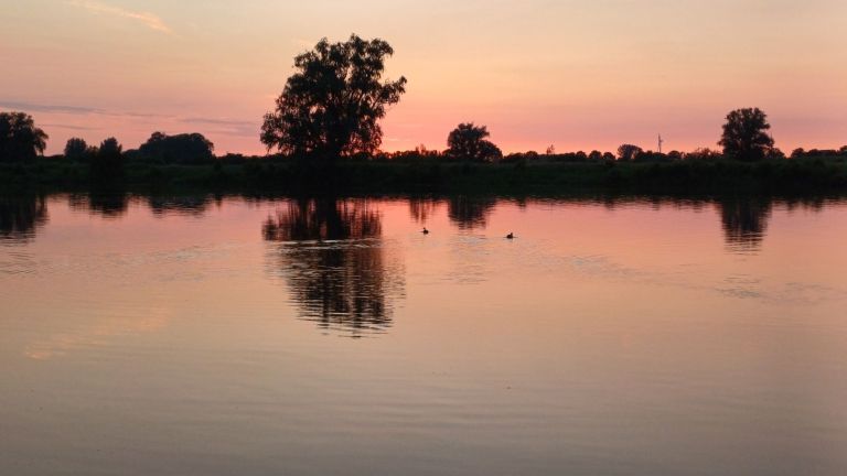 Covid long aux Pays-Bas